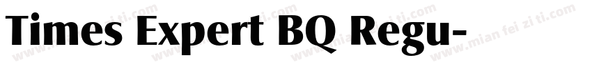 Times Expert BQ Regu字体转换